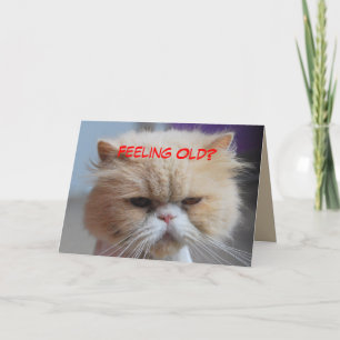 Glöm det Persisk Katt Humor Kort