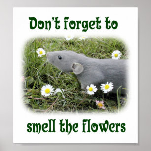 Glöm inte att lukta blommorna poster