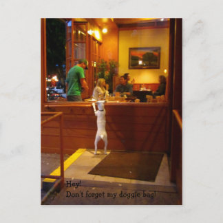 Glöm inte att min vovve hänger lös! vykort