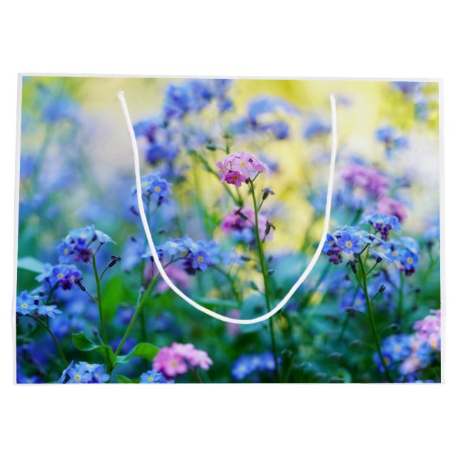 Glöm-Me-Not Flowers (Baksidan)