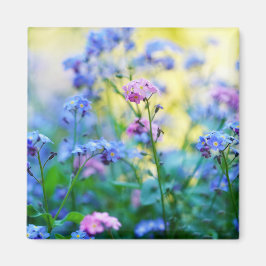 Glöm-Me-Not Flowers Magnet