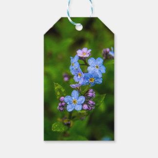 Glöm mig i regnet presentetikett