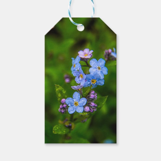 Glöm mig i regnet presentetikett (Framsidan)