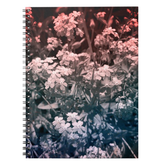 Glöm mig inte att anteckningsbok (Framsidan)