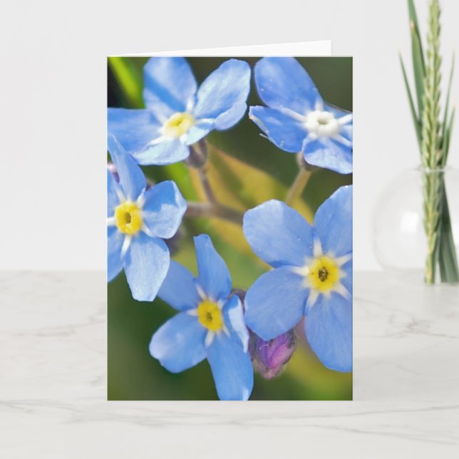 Glöm mig inte blommarnas romantiska tack kort (Framsida)