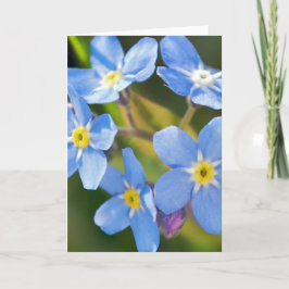 Glöm mig inte blommarnas romantiska tack kort