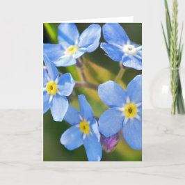 Glöm mig inte blommarnas romantiska tack kort
