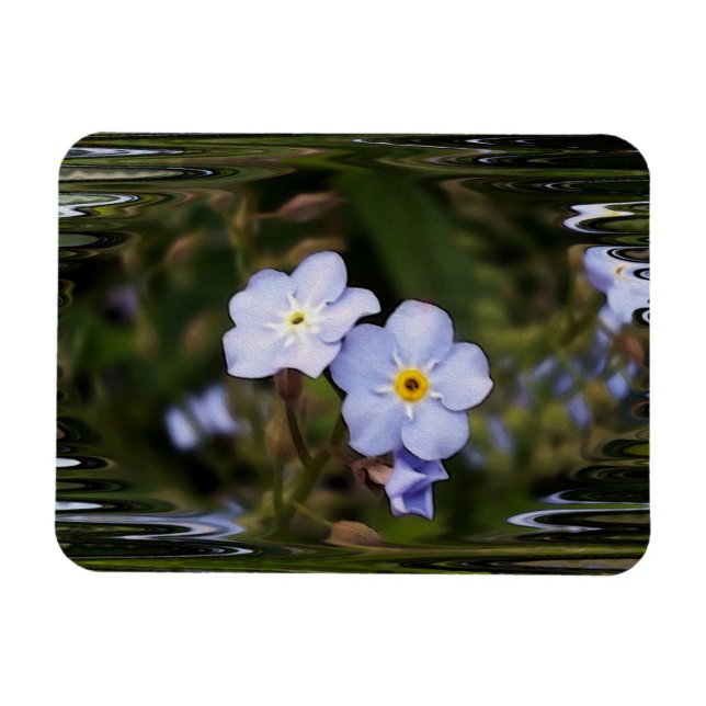 Glöm mig inte blommor magnet (Horisontell)