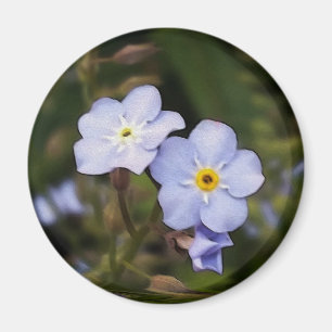 Glöm mig inte blommor magnet