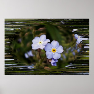 Glöm mig inte blommor poster