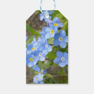 Glöm mig inte gåvamärkren presentetikett
