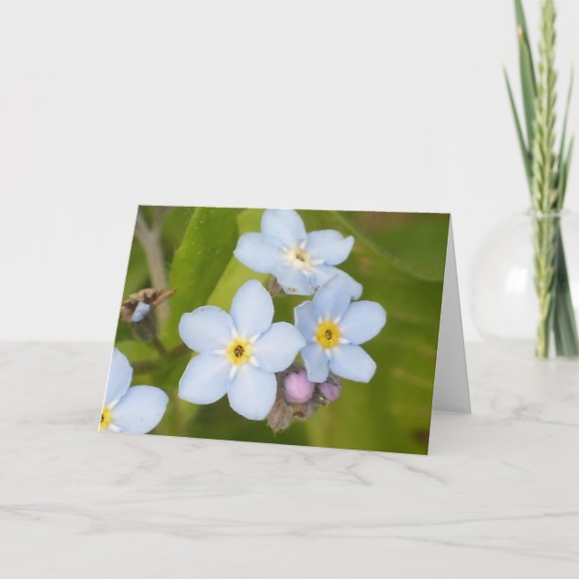 Glöm mig-inte-notecard kort (Framsida)