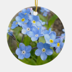 Glöm mig inte Ornament