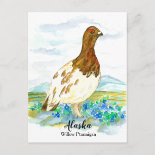 Glöm mig Inte Ptarmigan-staten Alaska Vykort