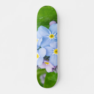 Glöm mig inte, Skateboard
