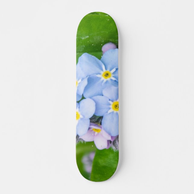 Glöm mig inte, Skateboard (Framsida)