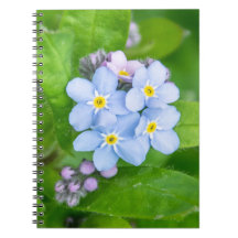 Glöm mig-inte, Spiral fotopatbok