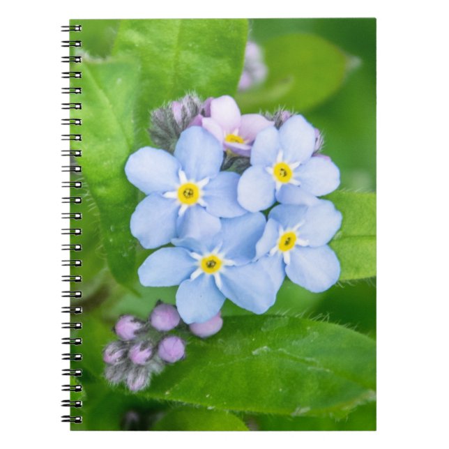 Glöm mig-inte, Spiral fotopatbok Anteckningsbok (Framsidan)