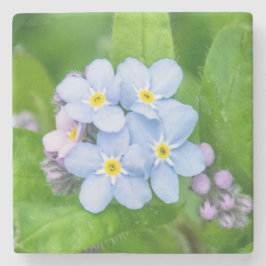 Glöm mig inte, Stone Underlägg