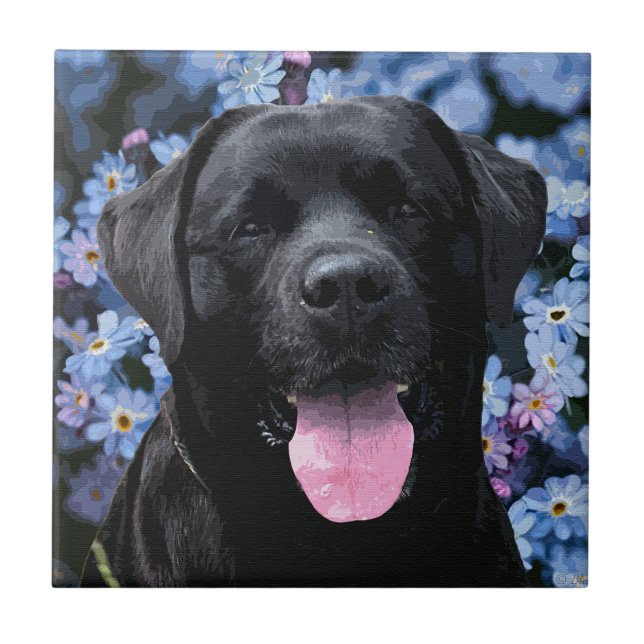 Glöm mig Knot - Black Labrador Kakelplatta (Framsidan)