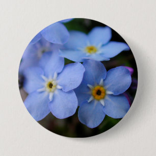 Glöm mig Nots Blåa blommor Knapp