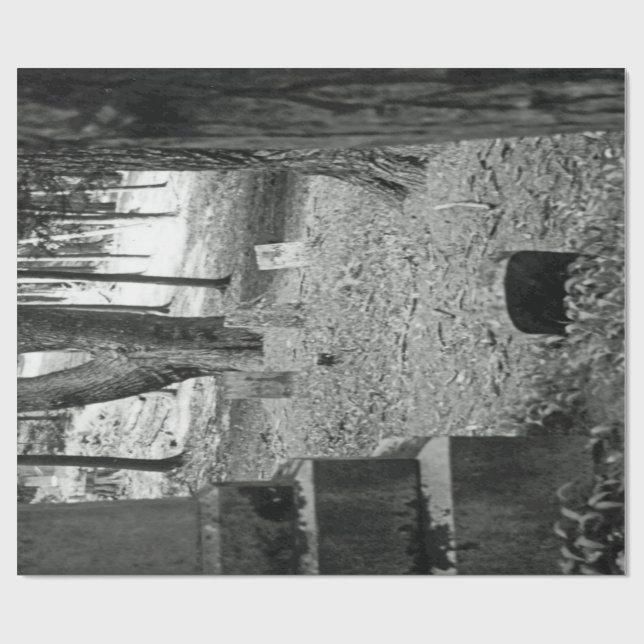 Glömd grav presentpapper (Platt)