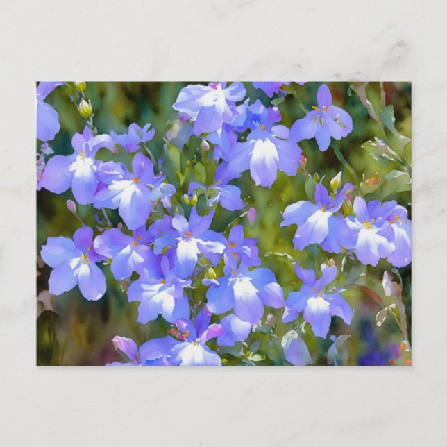 Glömm Mig Inte Blå Blommor Postkort Vykort (Framsida)