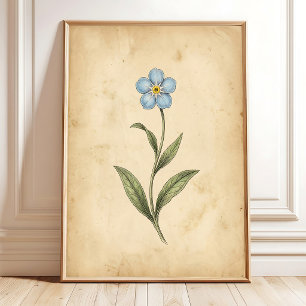 Glömm-Mig-Interg Vintag Blommig Konst Poster