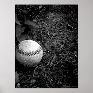 Glömt Baseball Poster