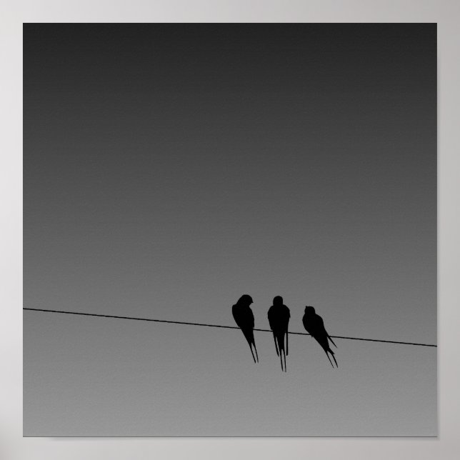 Glooming Blackbird Silhouette på Wire Poster (Framsidan)