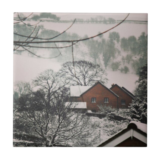 Gloomy Winter Ligcape, Powys Wales Kakelplatta (Framsidan)