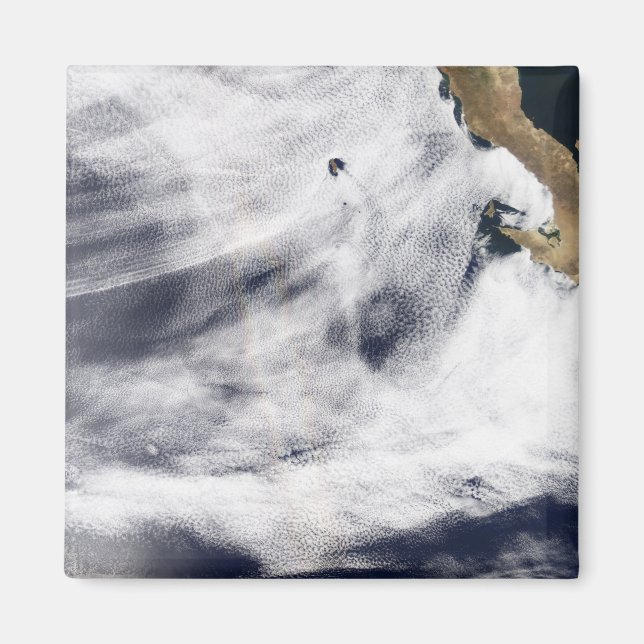 Gloria över Stilla havet Magnet (Framsidan)