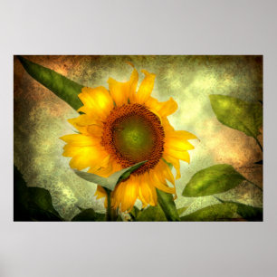 Gloria (solros Poster) Poster