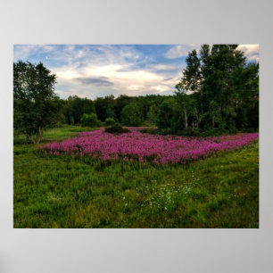 Glorier av Maine Poster