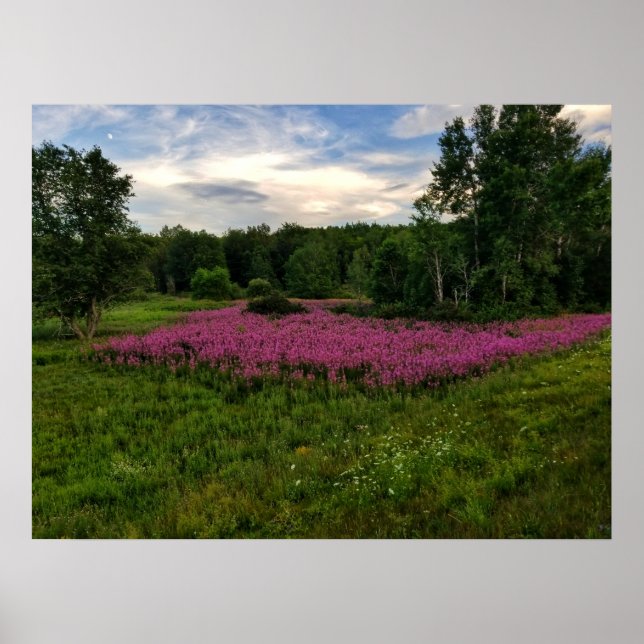 Glorier av Maine Poster (Framsidan)