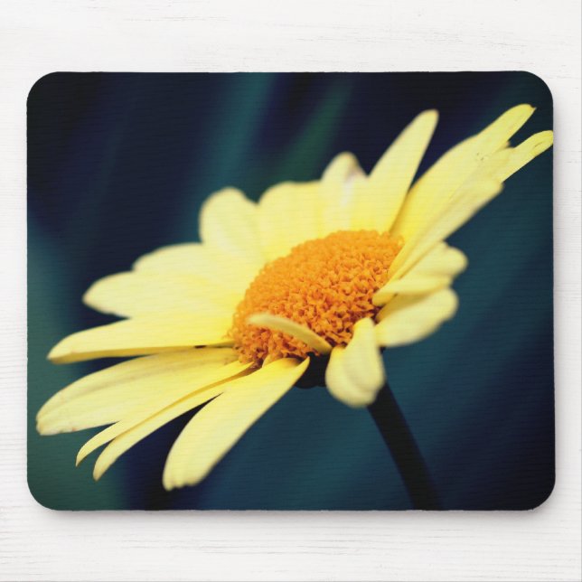 Glorig Gult Daisy Flower Musmatta (Framsidan)