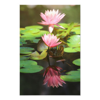 Gloriga reflektioner fototryck