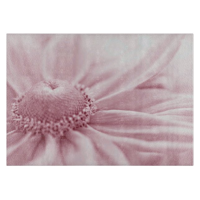 Gloriosa Daisy Macro (Framsidan)