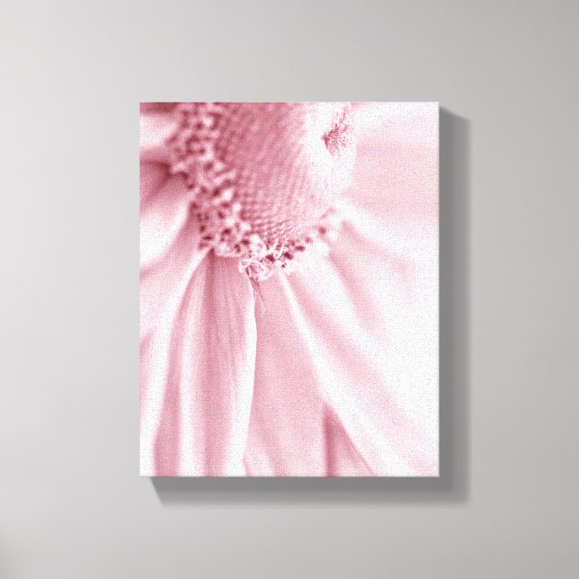 Gloriosa Daisy Macro Canvastryck (Framsida)