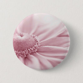 Gloriosa Daisy Macro Knapp