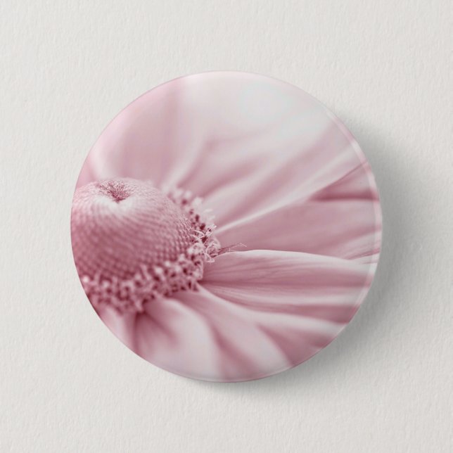 Gloriosa Daisy Macro Knapp (Framsida)