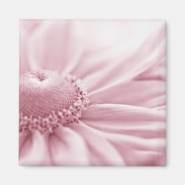 Gloriosa Daisy Macro Magnet