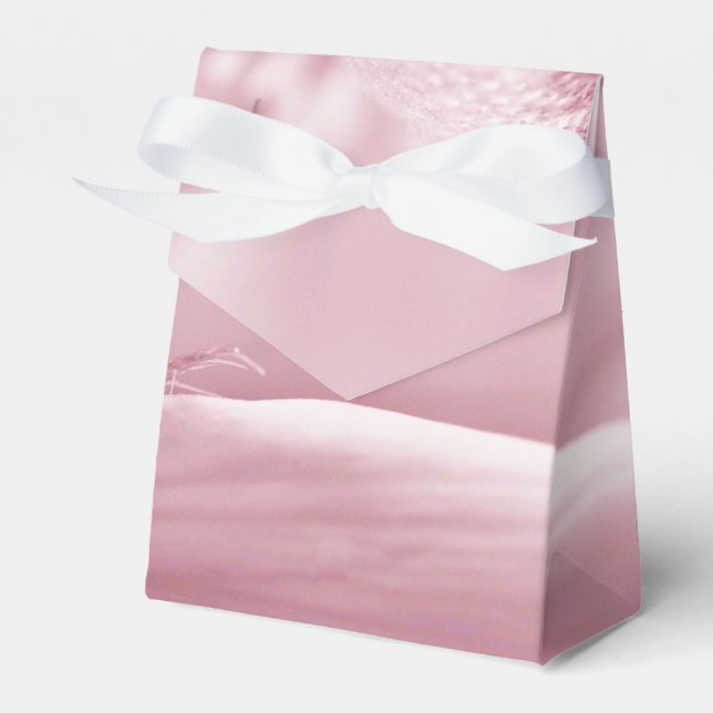 Gloriosa Daisy Macro Presentaskar (Framsidan Sidan)