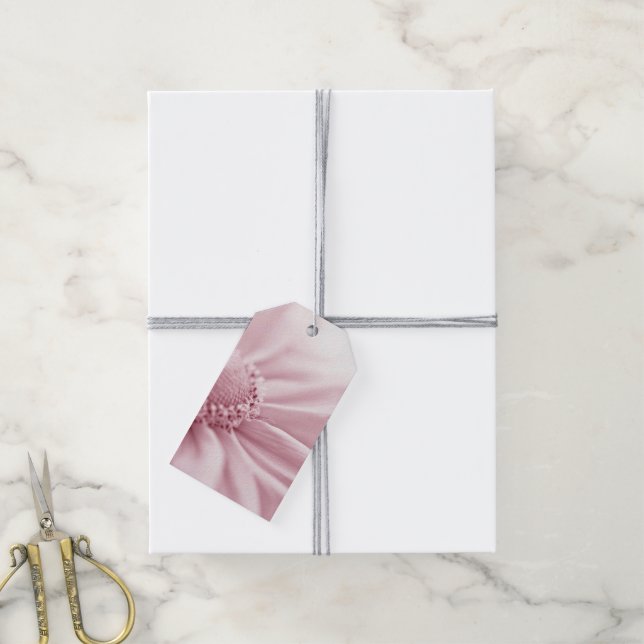 Gloriosa Daisy Macro Presentetikett (Med Snöre)