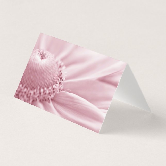 Gloriosa Daisy-makro-kort Kort (Framsida)