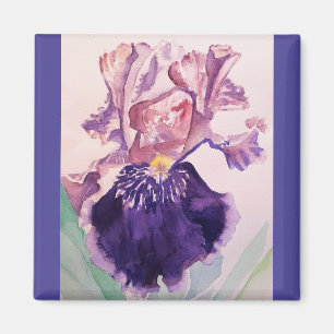 Glorioues Lila Iris Watercolor Painting Magnet