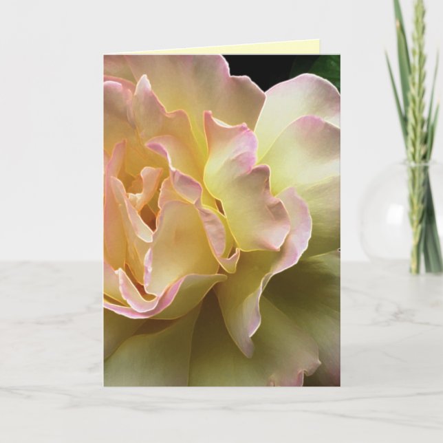 Glorious Gul ros Påsk Card Helgkort (Framsida)