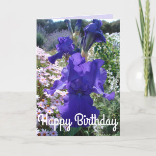 Glorious Lila Iris Flower Blommigt Birthday Card Kort