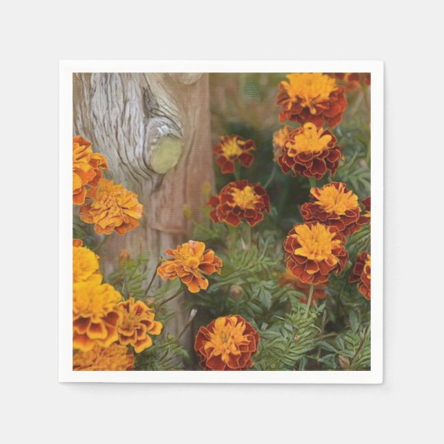 Glorious Marigolds Pappersservett (Framsidan)