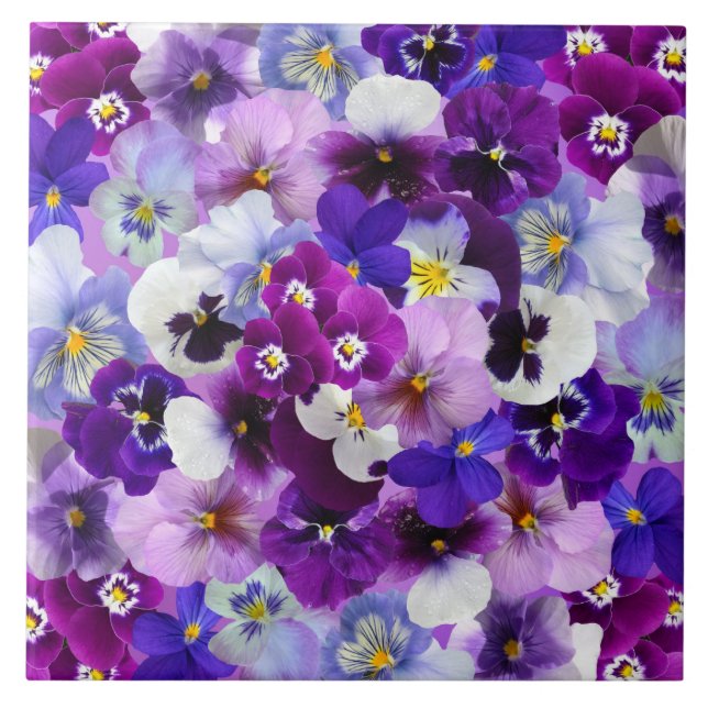 Glorious Pansies Kakelplatta (Framsidan)